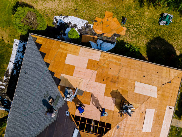 Best Metal Roofing Contractor  in Fayetteville, NC