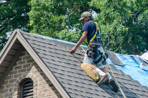Best Metal Roofing Contractor  in Fayetteville, NC